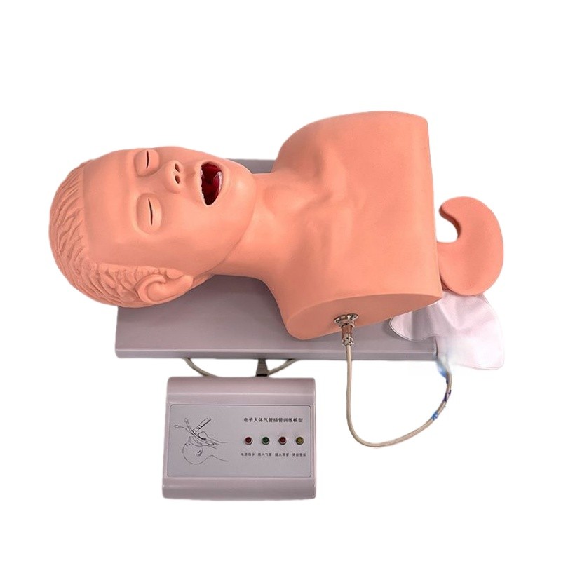 Intubation Manikin Study Teaching Model Electronic Airway Management Trainer New