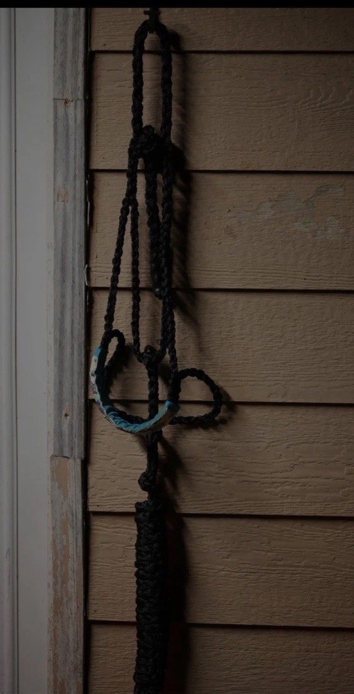 Mule Beaded Horse Halter