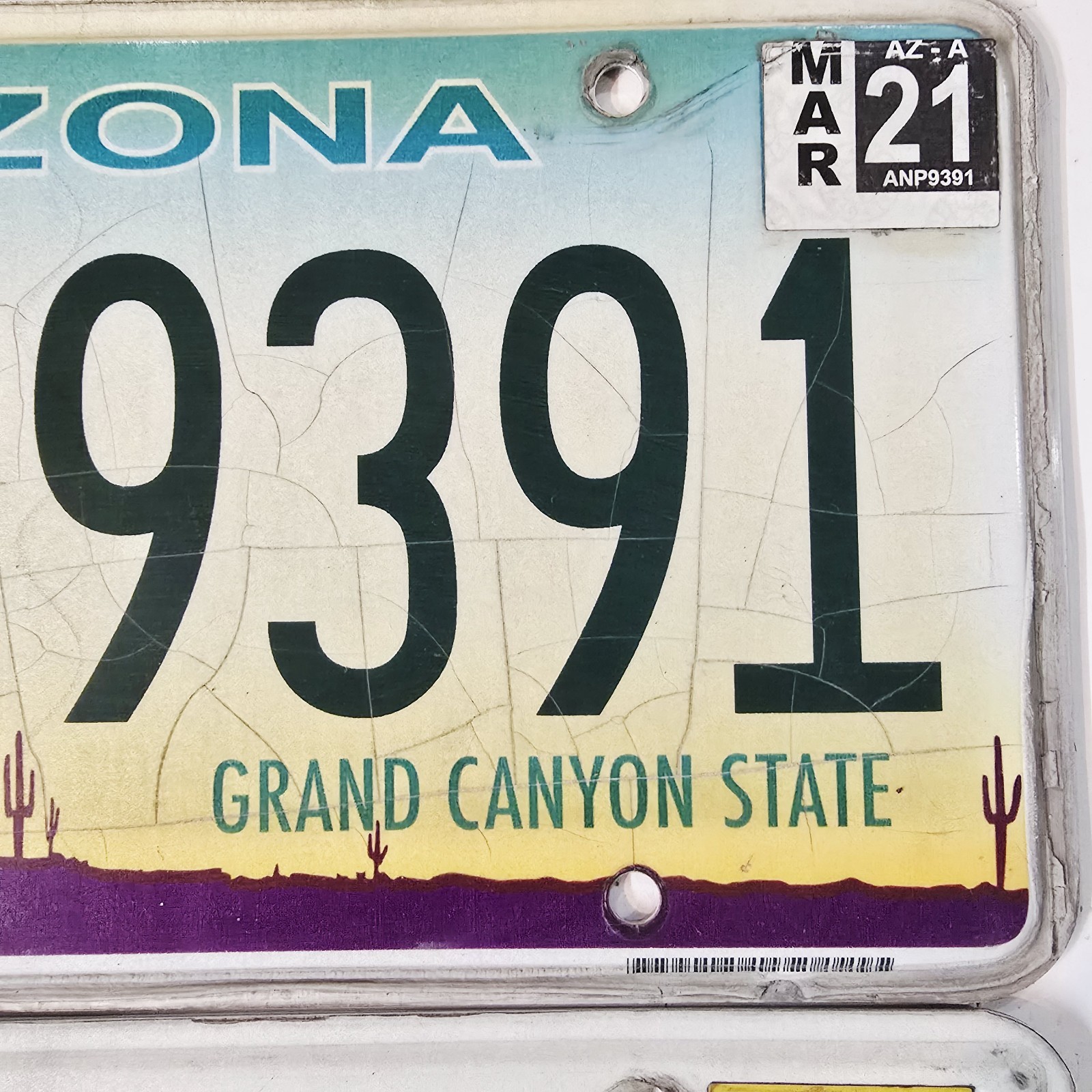Florida & Arizona License Plate Lot 2 Authentic Tags ANP9391 - 145 8YI 2