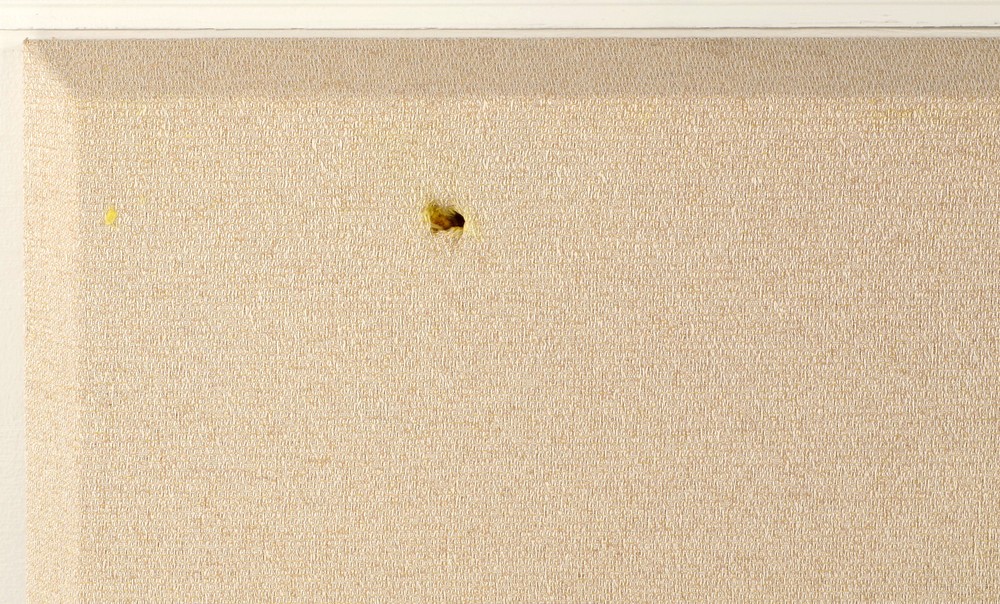 Auralex ProPanel Cloud 4x4, BE, Sandstone