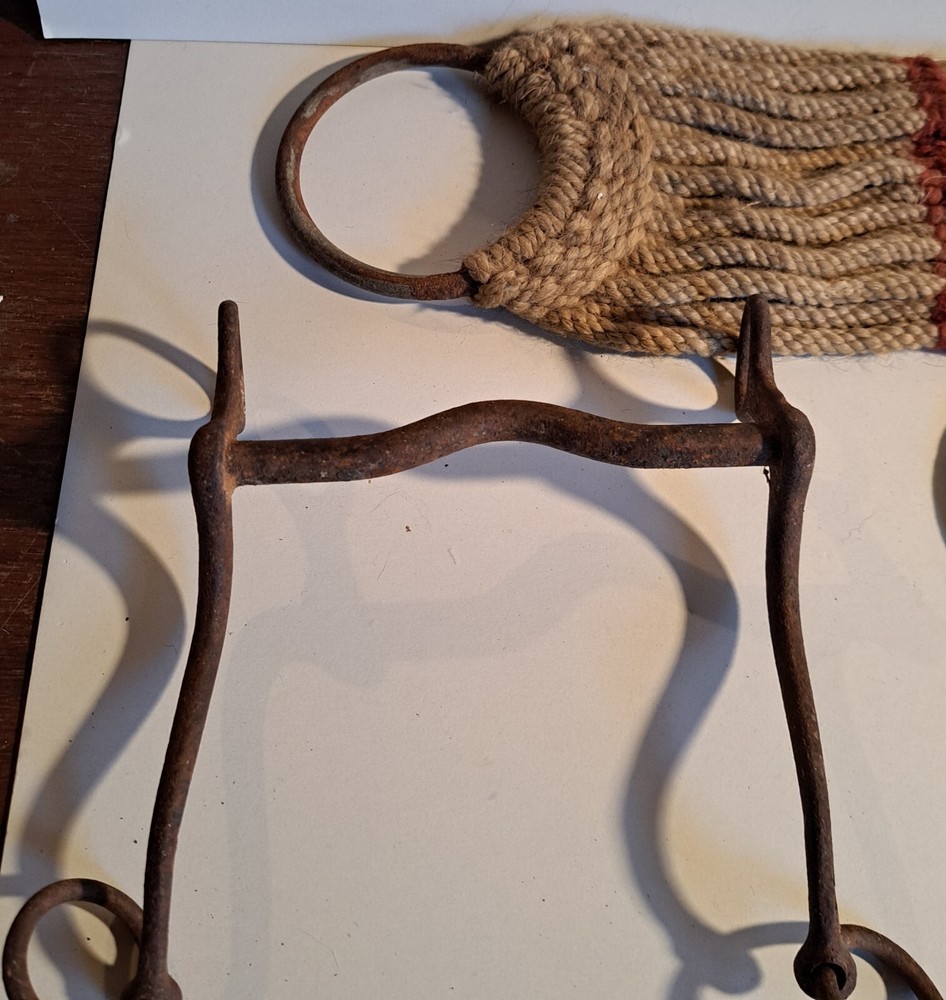 Rustic Western Horse Cowboy Wall Decor Cinch BITS