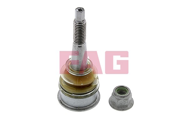 Control Arm Pin Front Left (Left) - Right
