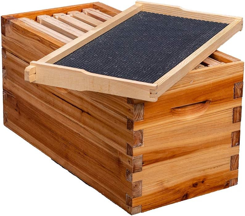 5-Frame Nuc Beehive for Bees Complete Bee Hive Box Kit for Langstroth Beekeeping