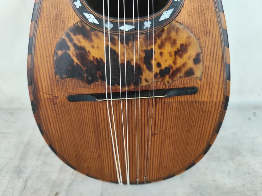 Leonardo Cocchi 1920 Milan 4/4 Mandolin 曼陀林 만돌린マンドリン