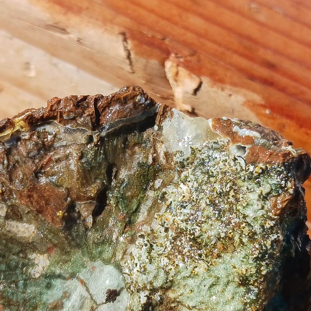 Quartz Lapidary Chalcedony Mud Fossil Jasper Rough Specimen