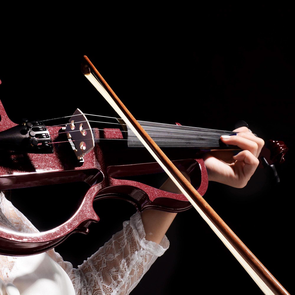 4/4 Size 2 Style Electric Silent Violin Set Practicing Performing w/ Case Gift