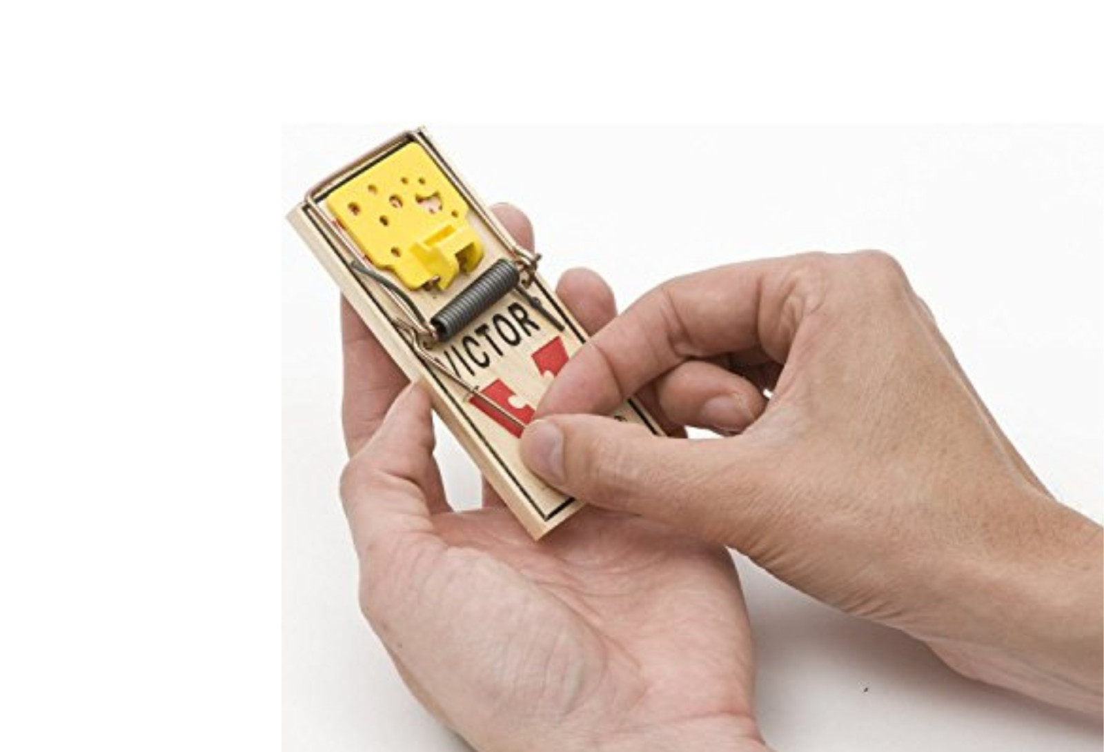 Mouse Trap - ( 4 Count )