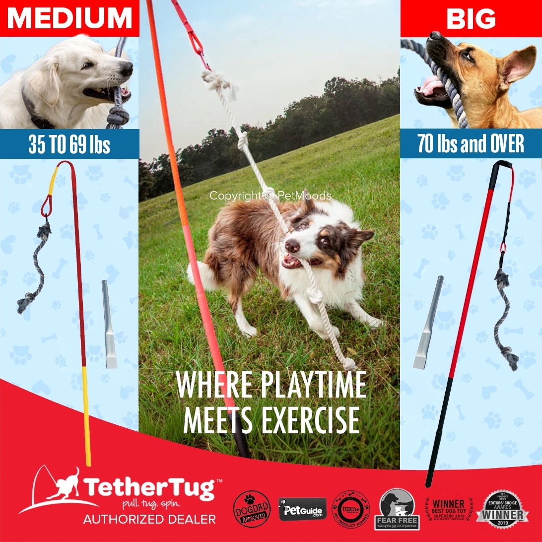 Tether Tug V2 Outdoor Dog Interactive Toy Tugging Pull Exercise 35-70 lbs and Up