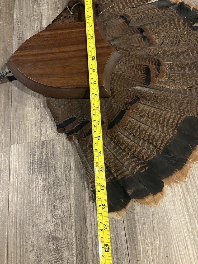Turkey Tail/Beard Plaque Hardwood