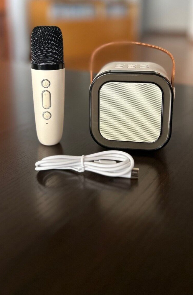 Mini Karaoke Machine Portable Bluetooth Speaker w/Wireless Microphone NEW