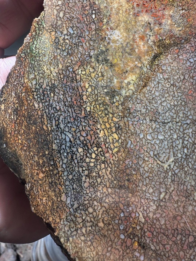 Dinosaur bone rough **hxtled slab.