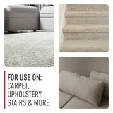 Carpet Cleaning Solution Neutralizes Odors