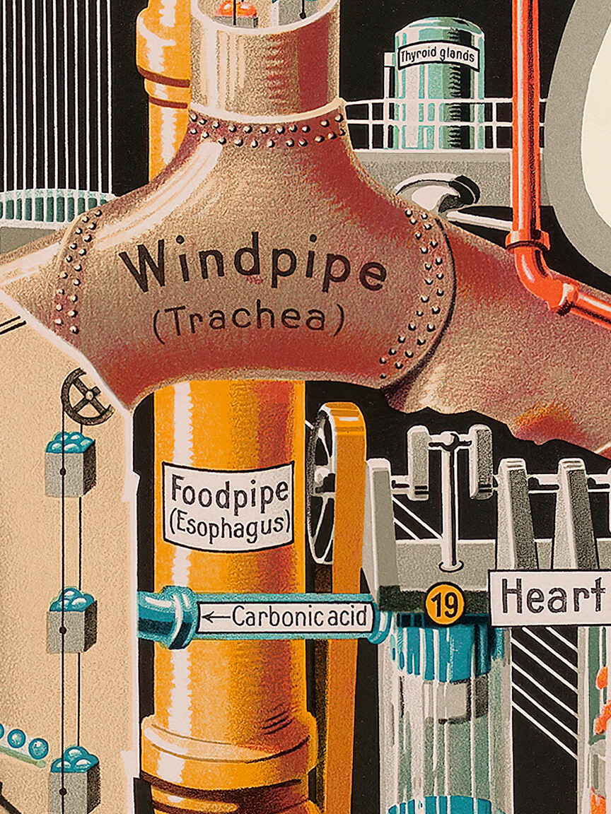 1931 The Human Factory - Vintage Industrial Anatomy Poster - 12x24