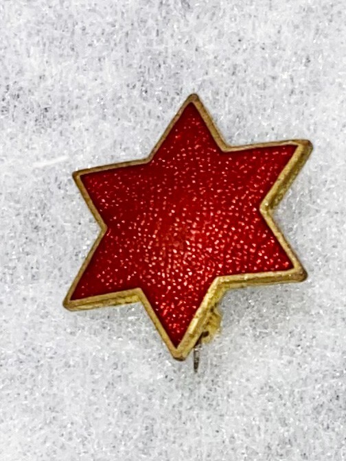 WWII 6th Division Patch Type DI