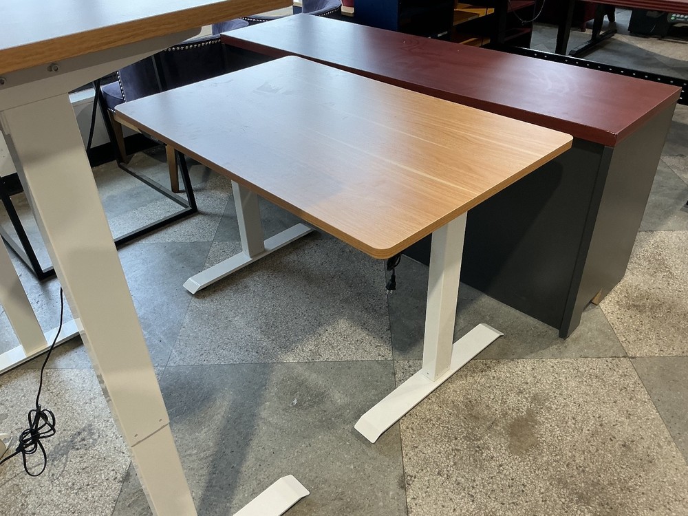 48”Wx30”D electric height Adjustable table by Flexispot Neutral top & White base