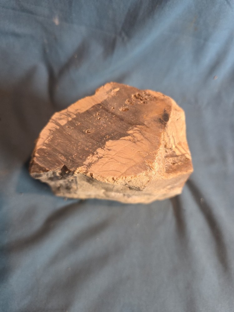 Petrified Wood Rough Approx 4x4 950 Grams