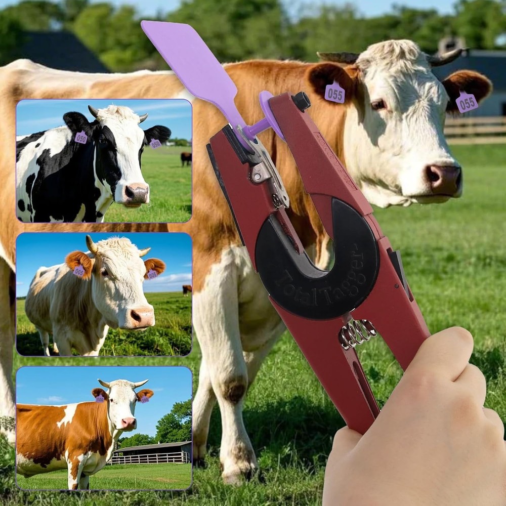 100 Purple Cattle Ear Tags & Applicator Kit - Essential Livestock Identification
