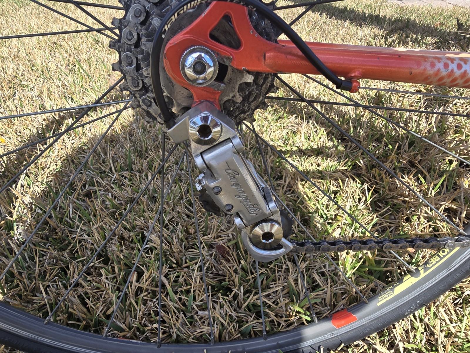 Gianni Motta Bike with Campagnolo Parts 53cm