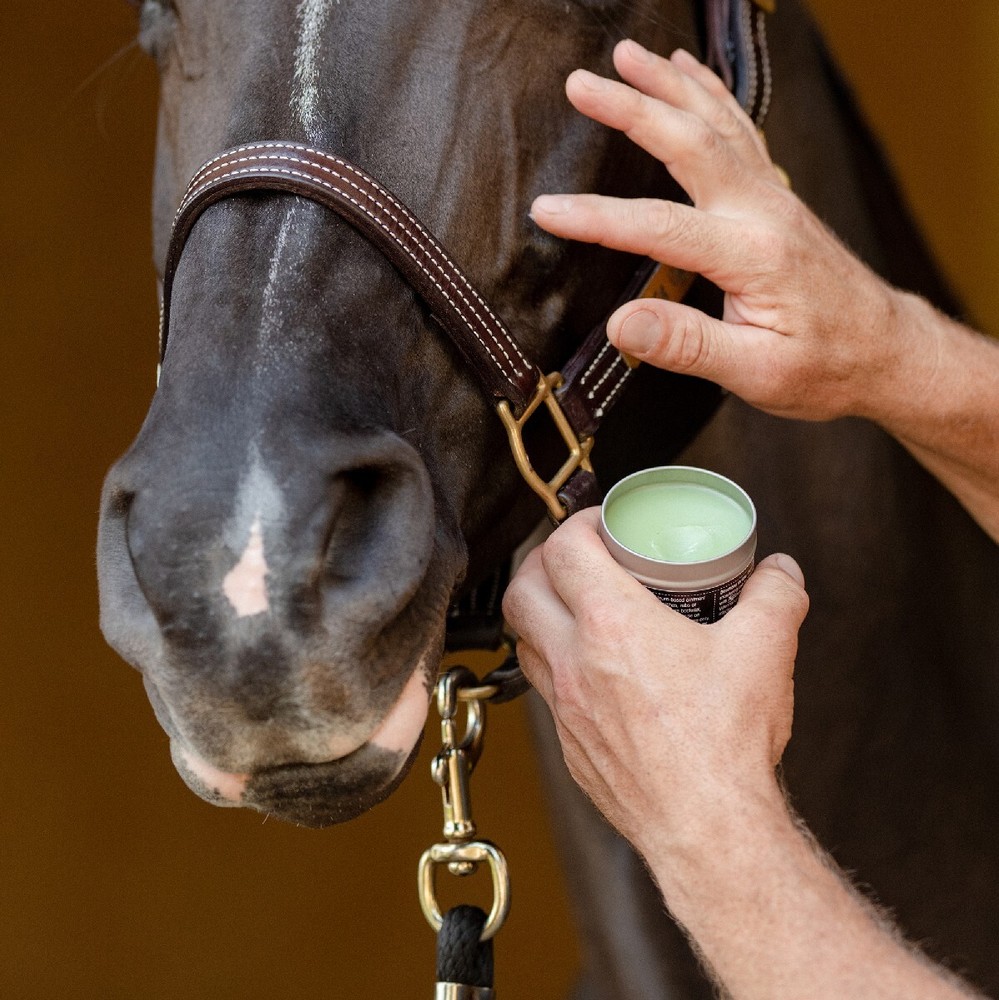 EquiFit AgSilver Clean Balm MAX