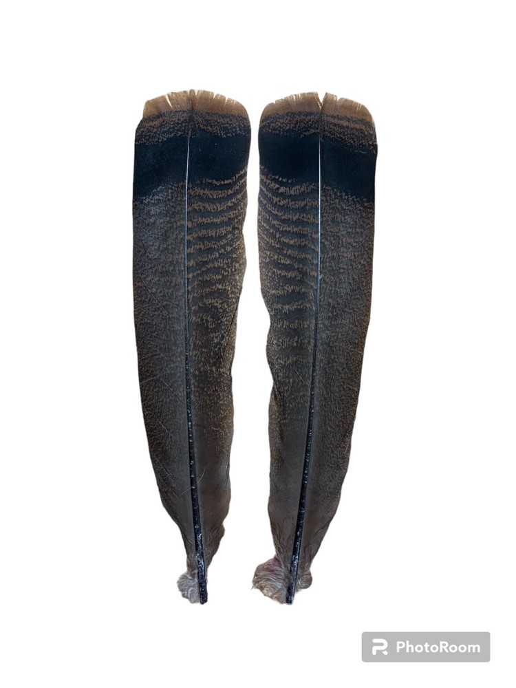 Turkey Tail Feathers Matched Set Select #1