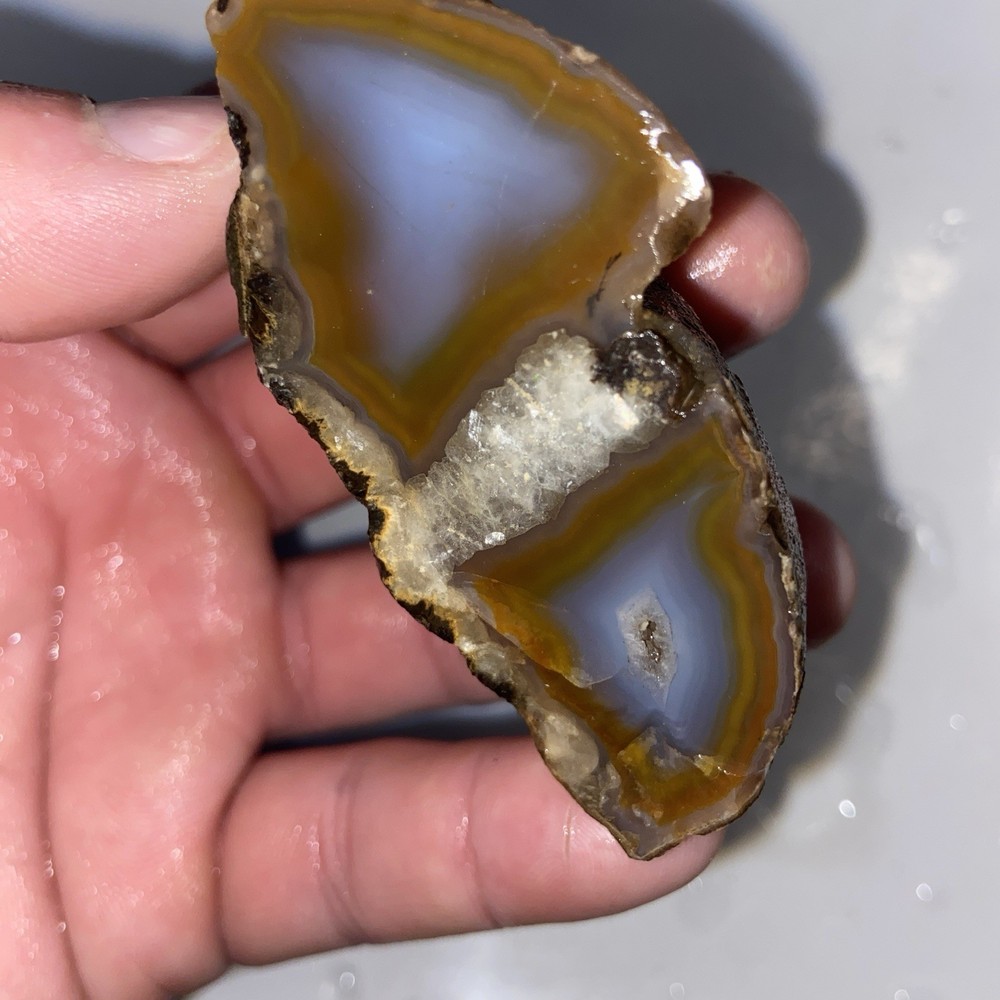 Very Unique Double Celled Agate Rough Stone 4 Oz