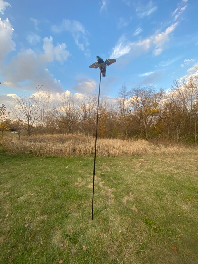 Outdoor Decoy Extension Pole, Universal