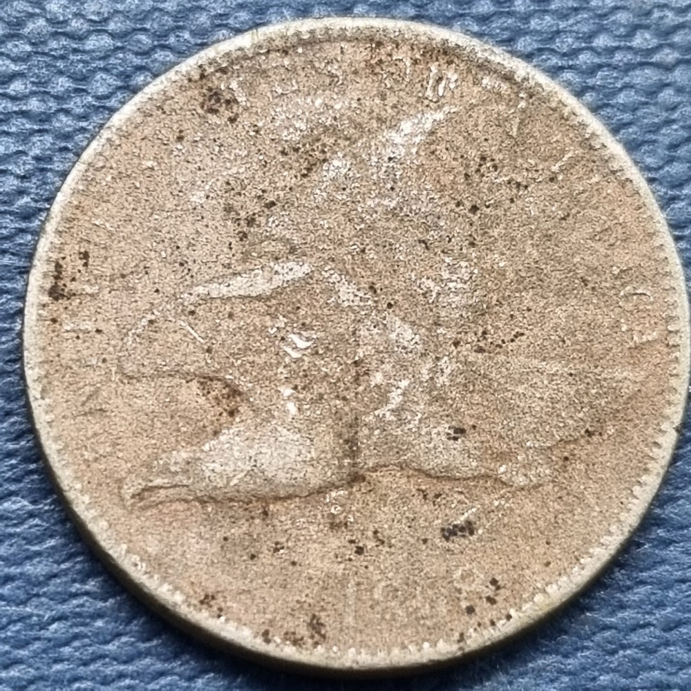 1858 Flying Eagle Cent 1c Circulated Details #101124