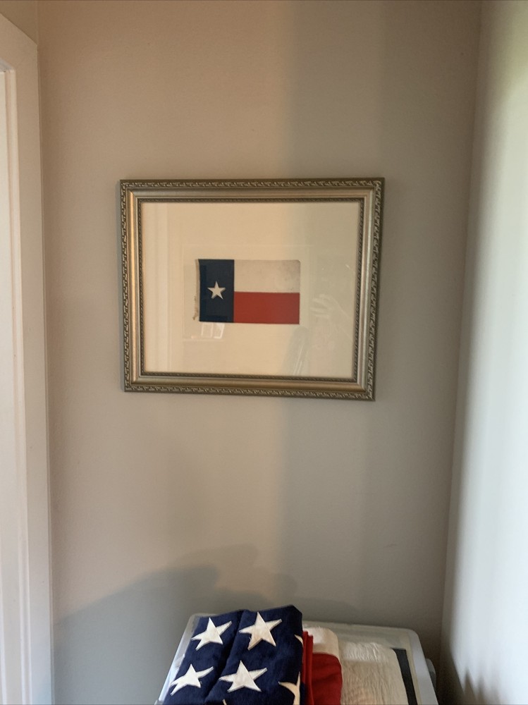Early 1900s Texas Parade Flag