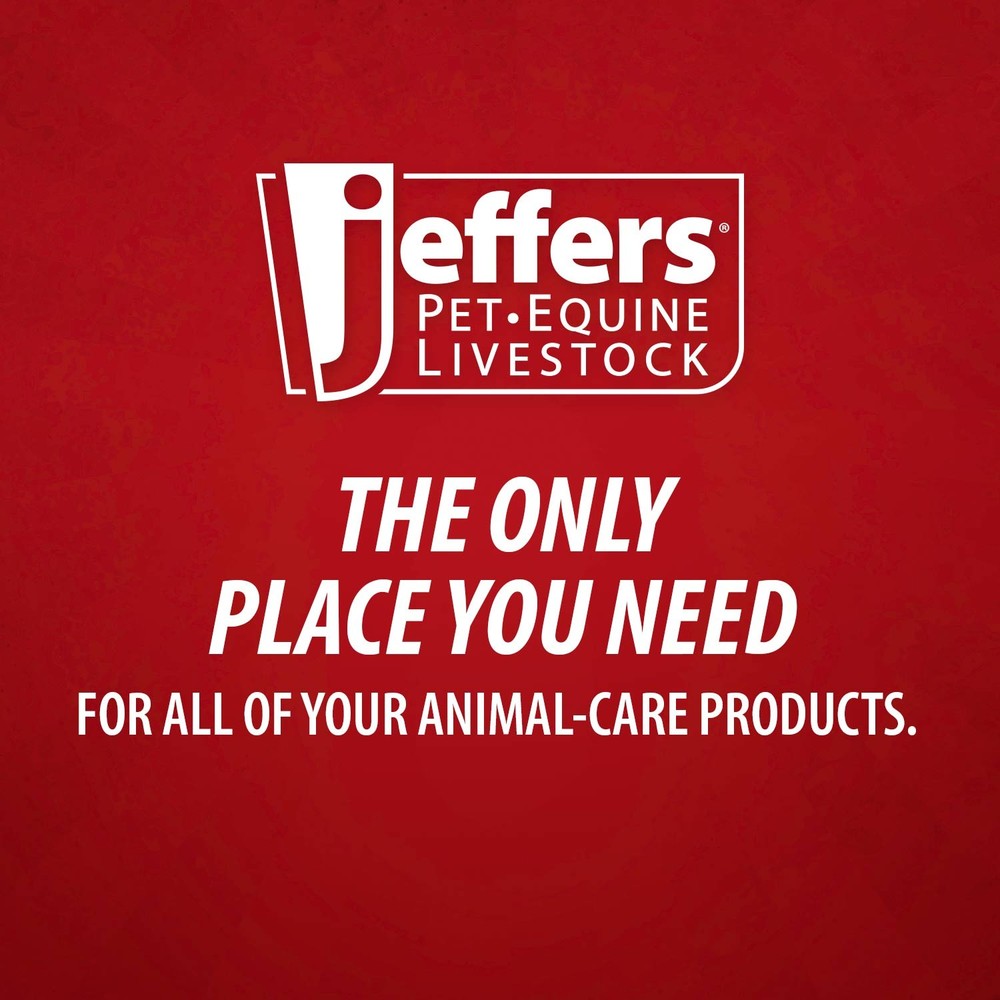 Jeffers Soft Sided Cooler Large