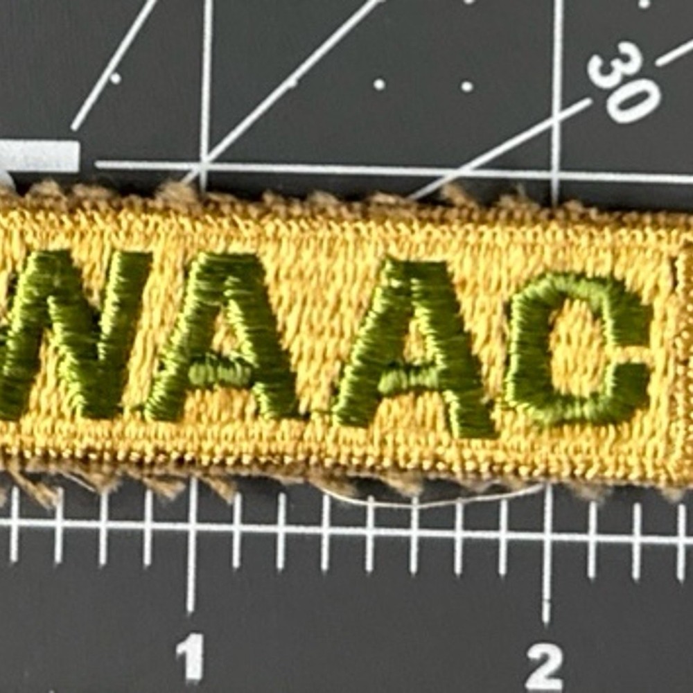 WW2 Women’s Army Auxiliary Corps Patch - #1567