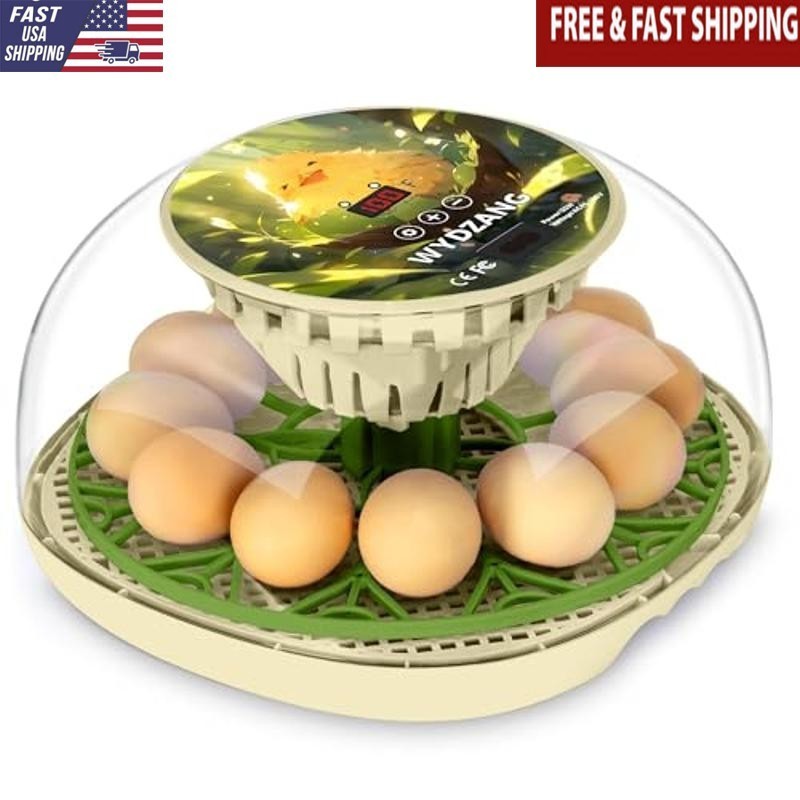 12 Egg Poultry Incubator Temperature Control Automatic Turner 360° Airflow New