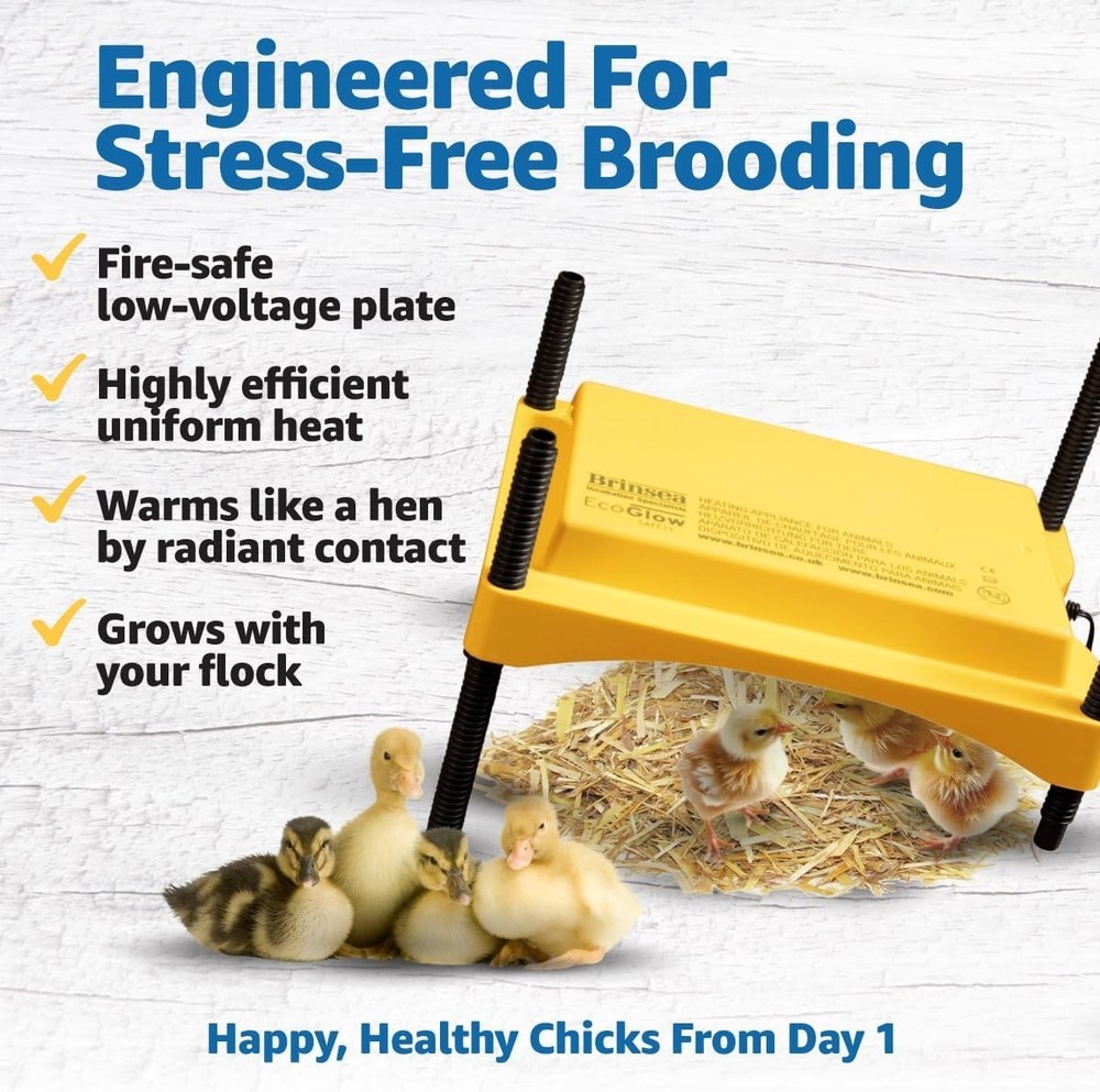 Energy-Saving 12 Watt Brooder Plate - Ideal for Newborn Chicks & Ducklings