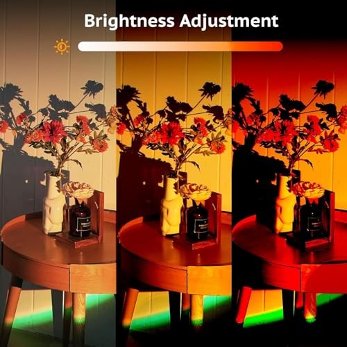 Sunset Lamp Projector with APP Control - 2Color Changing LED Sunset Light80° 1