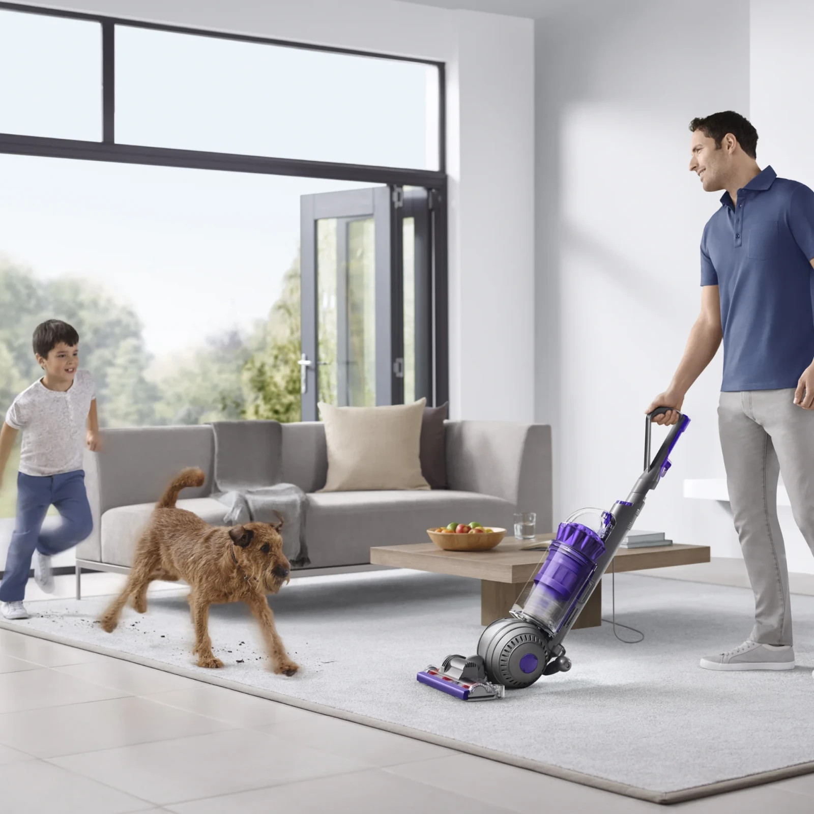 Dyson Ball Animal Origin Upright Vacuum Cleaner | Purple | New Free Shipping