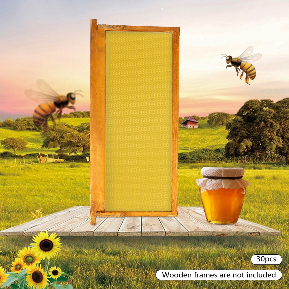 30 Pack Beeswax Sheets Beekeeping Foundation for Hive Honeycomb Building
