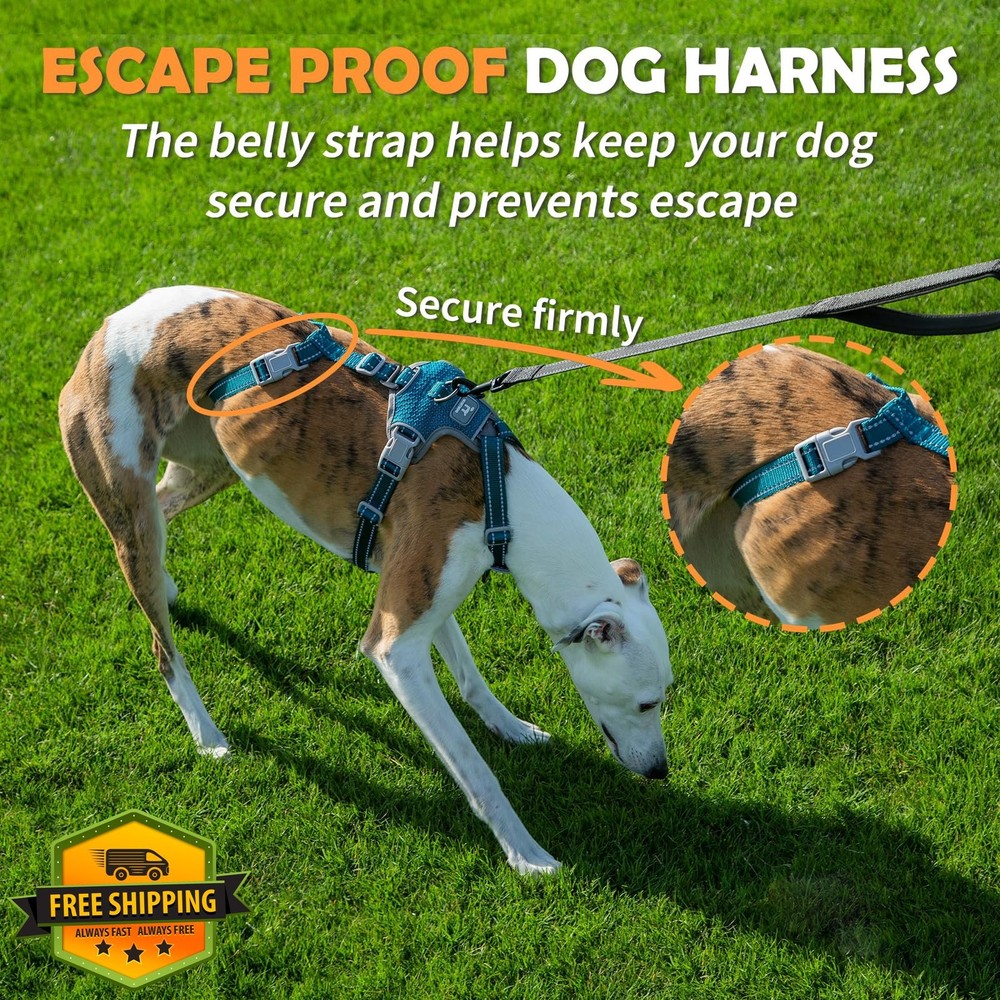 Huntboo Escape Proof Dog Harness Teal M No Pull Reflective