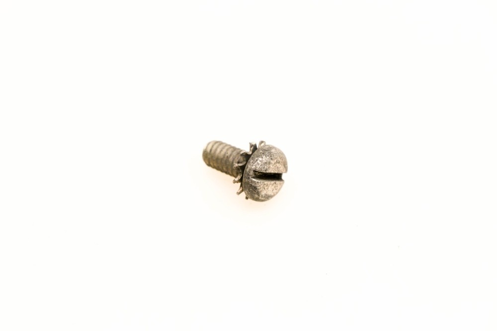 OMC 304992 Screw & Lock Washer NOS
