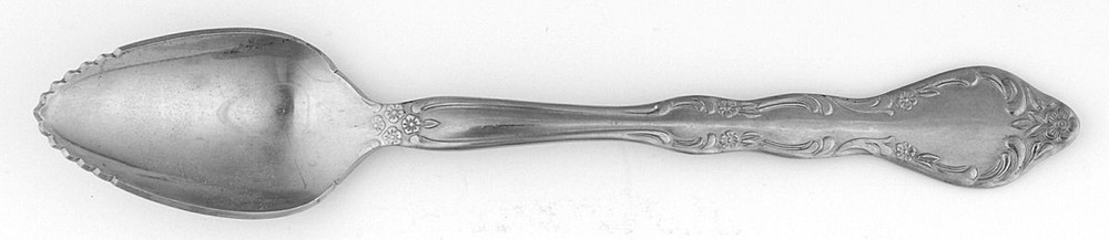 Michael Lloyd MLL2  Fruit Orange Spoon 404769
