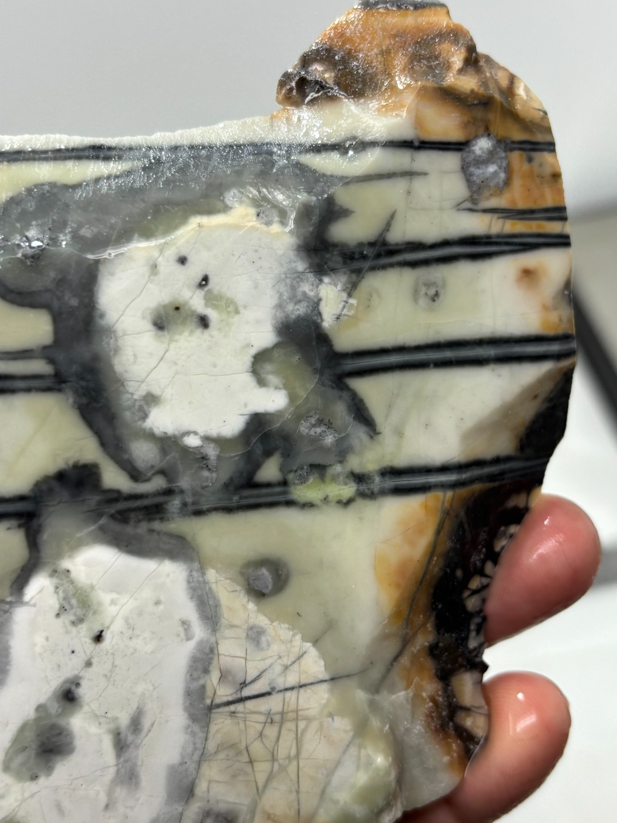 Picasso Marble (Jasper) end Slab Cabbing Lapidary Utah Combo Ship Avail