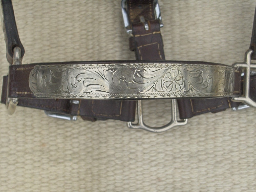 BILLY ROYAL WESTERN SHOW HALTER with SILVER@@