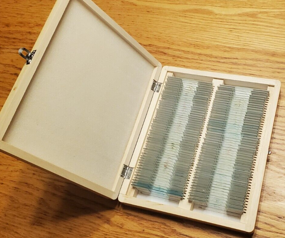 AmScope PS100E 100 Homeschool Biology Prepared Microscope Slides - Set E