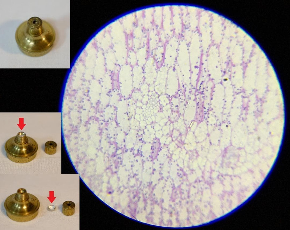 Antique Microscope No.32 John Richardson Cuff-Type Microscope c.1804–1809