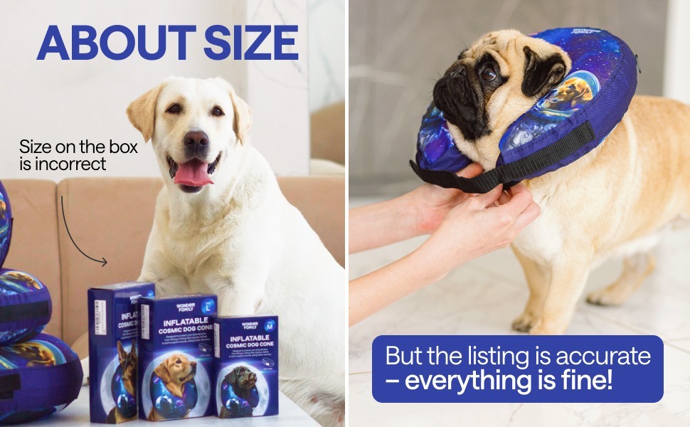 Soft Pet Recovery Inflatable Collar for Dog & Cat After Surgery Protective Cone