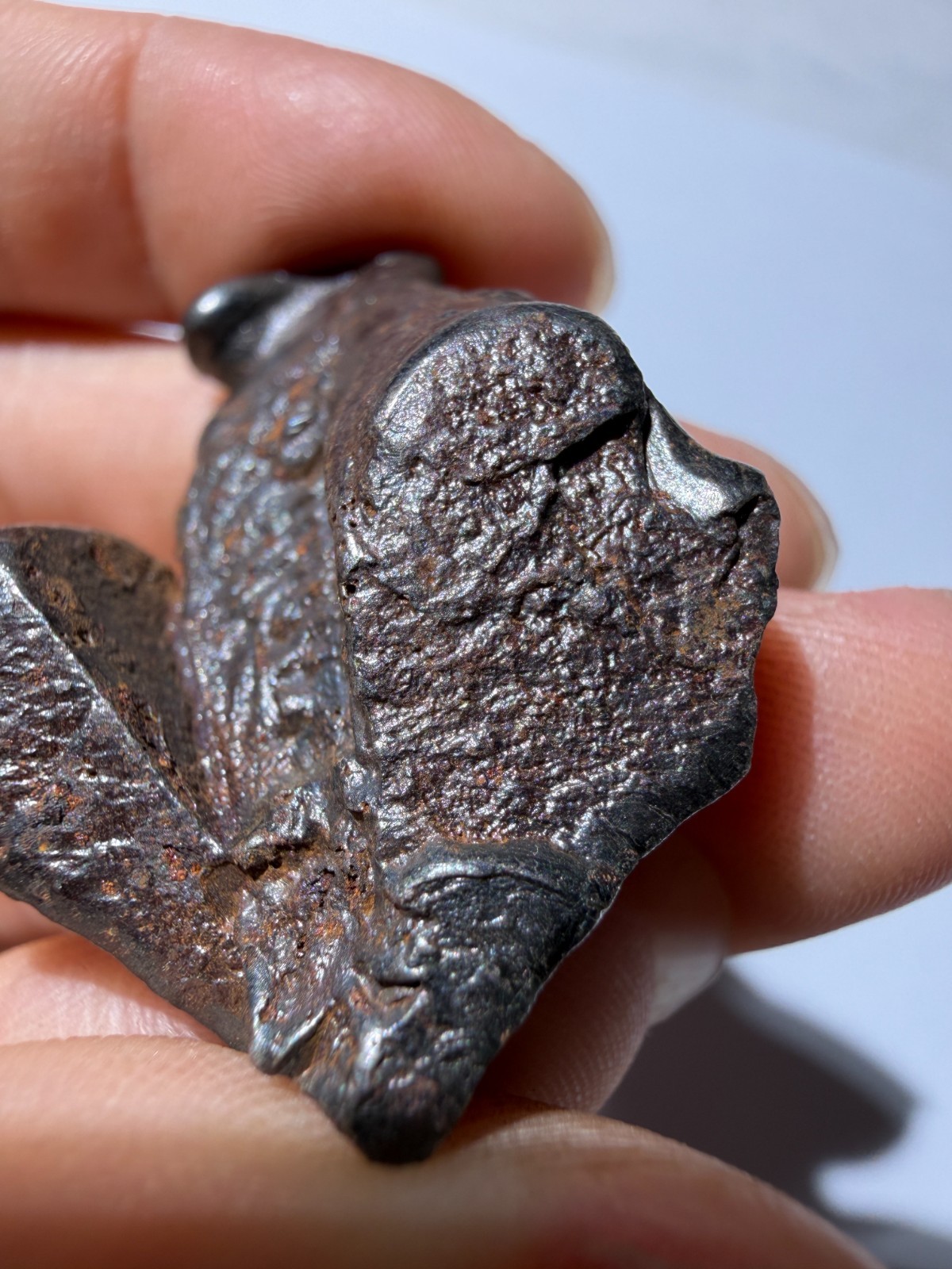 Sikhote-Alin Meteorite 28.25g Special-shaped attractive crust oriented feature