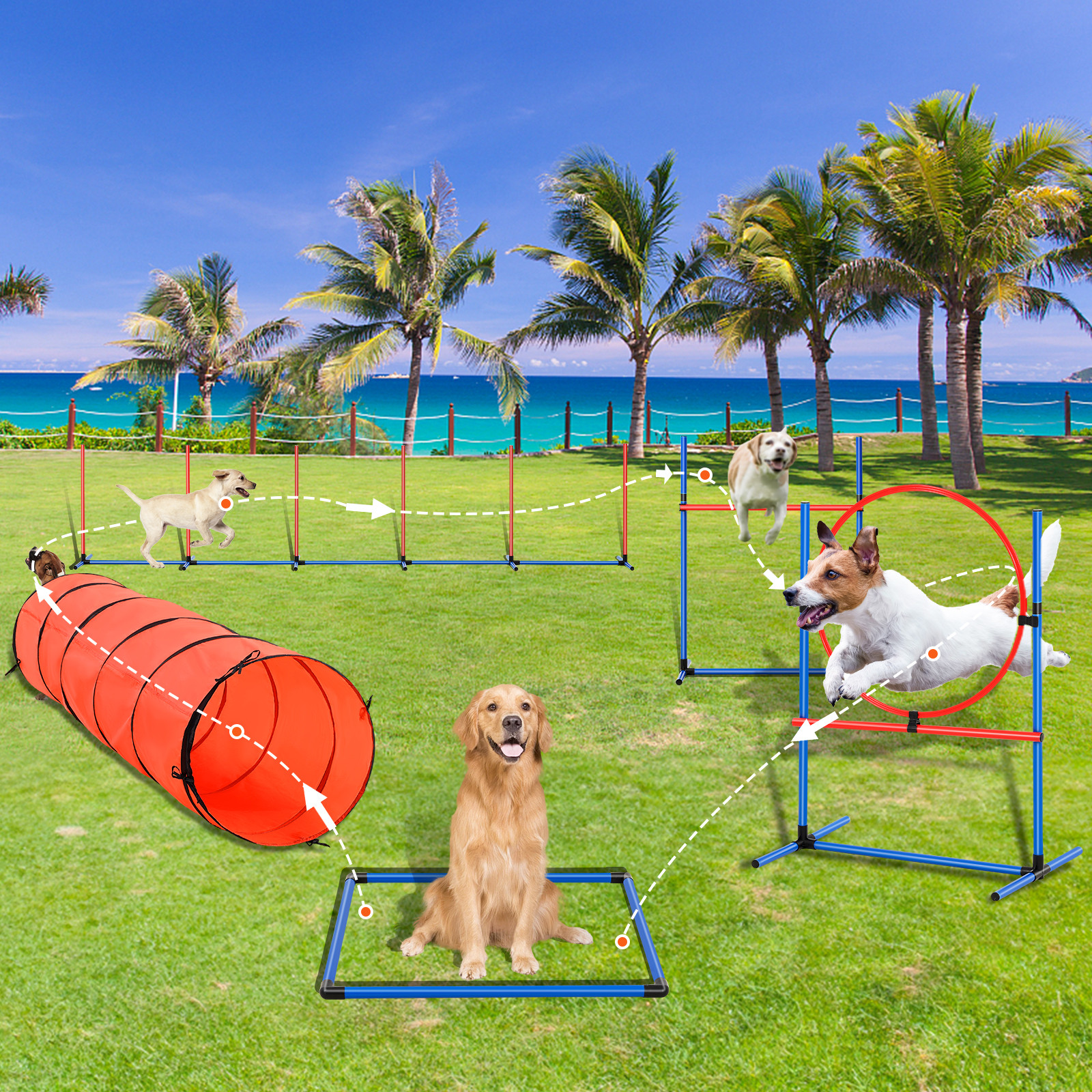 Dog Agility Training Kit Pet Obstacle Course Equipment Backyard 5 PCS Set