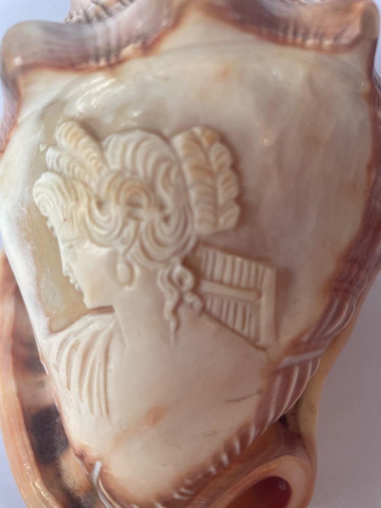 Scrimshaw shell cameo