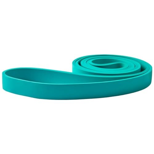 Resistance Bands, Pull Up Bands, Pull Up Assist Band Exercise Bands for Green