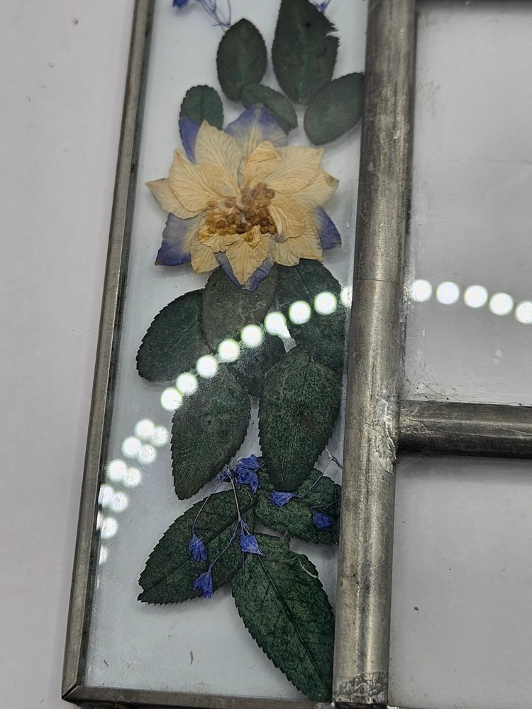 Pressed Flower wall hanging linked frames