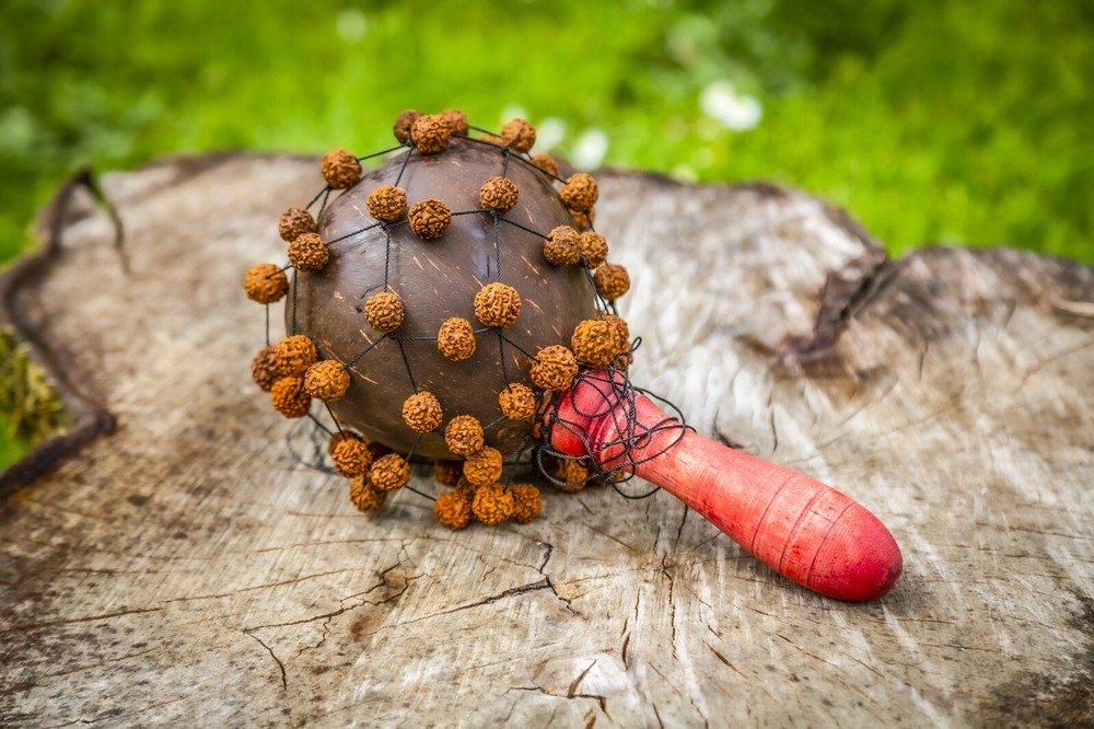 Handmade Coconut Maraca with seed and net
