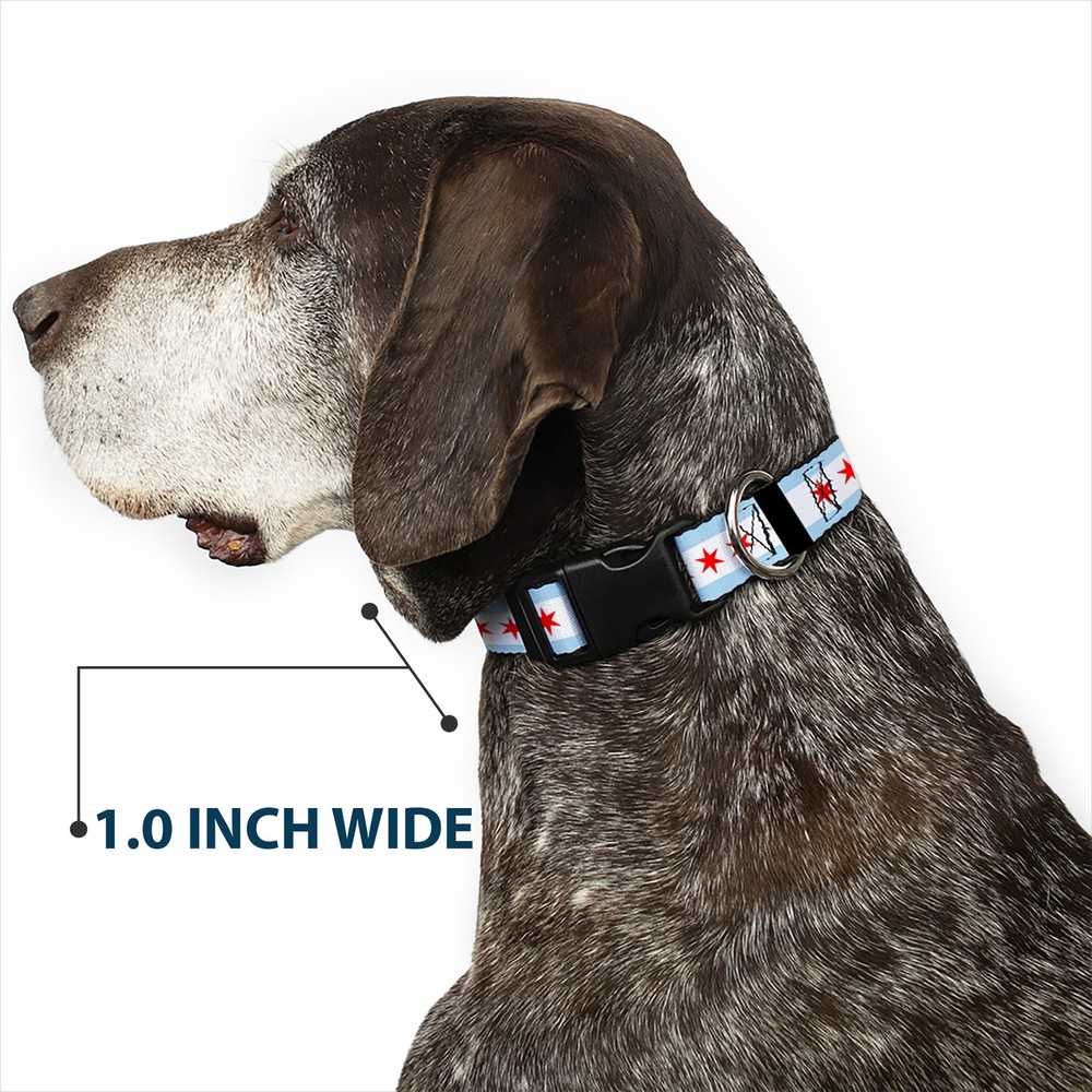 Plastic Clip Collar Chicago Flags/Black Large 15-24"